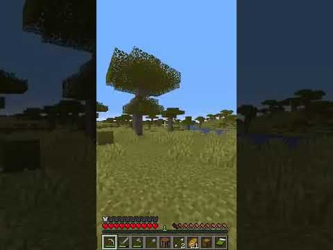 sparker 20k - Minecraft survival. So lucky today !!! #letsplay #creative #build  #shaders #shorts
