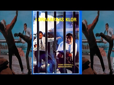 Комиссар Х: В лапах золотого дракона. Красивые девушки, наемные убийцы, погони. Боевик, приключения