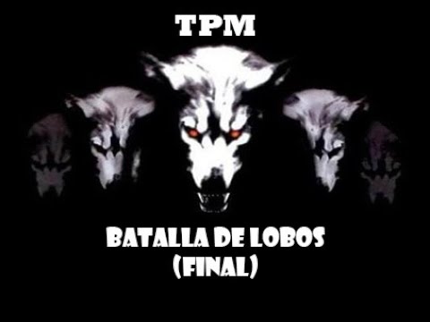 AZGO Y LUT vs Bohemio y Mexia - Batalla de Lobos (Final)
