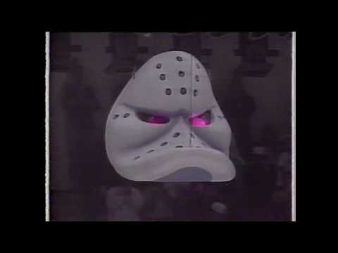 Season NHL 1993-94. Anaheim Mighty Ducks