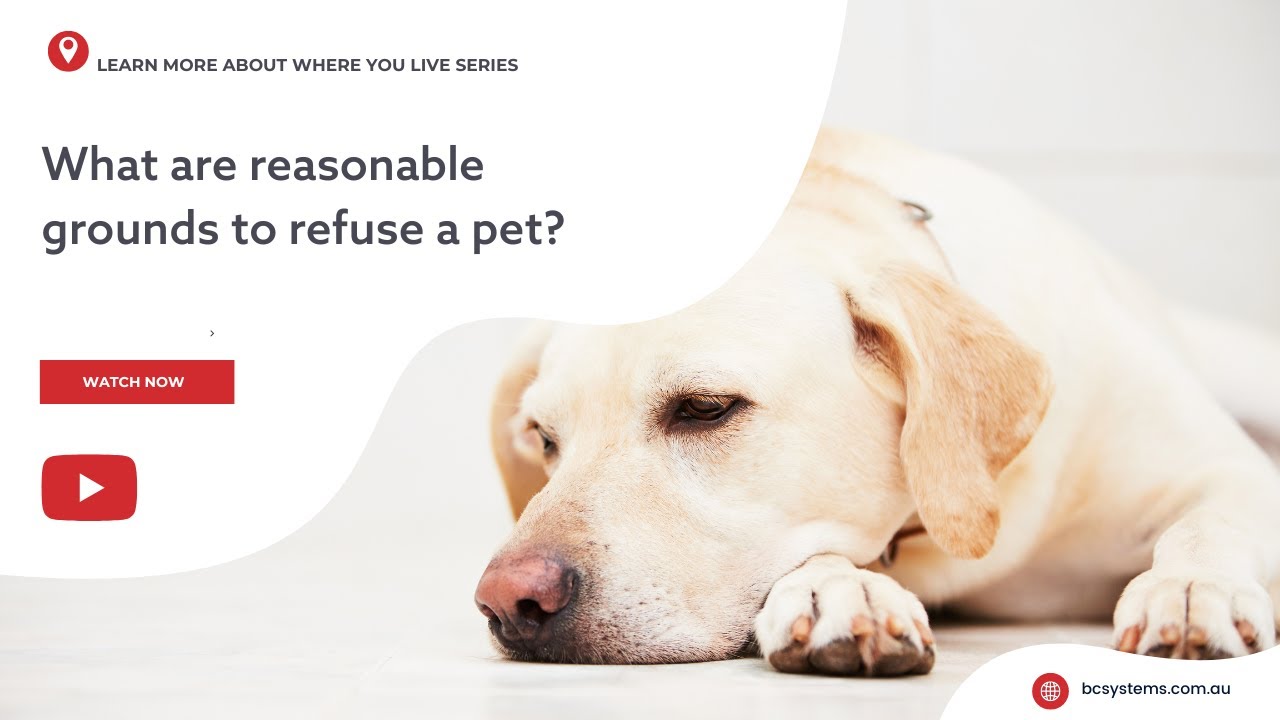 Reasonable grounds to refuse a pet