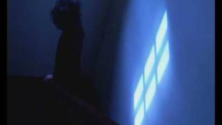 Where are you now - The Knutz