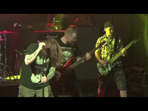 DOB - Live at Mod 14.06.2019