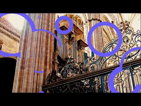 1378-ÓRGANO HISTORICO - CATEDRAL SALAMANCA (Epístola)