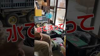 ヨモギでのお手当てが凄すぎた