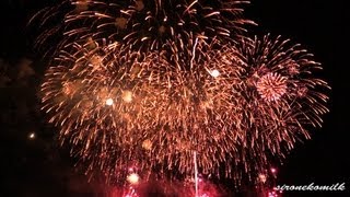 preview picture of video '2013 たまむら花火大会 田園夢花火 フィナーレまでダイジェスト Japanese Fireworks'