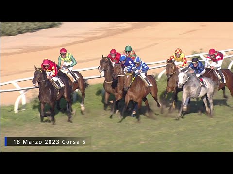 Galoppo corse del 18 Marzo 2023