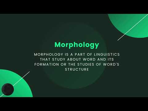 Morphosyntax and Text Analysis by M Daffa Ramadhan Fawzi