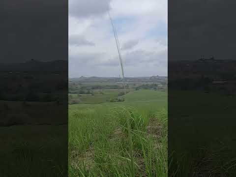 cidade de Porto calvo Alagoas.