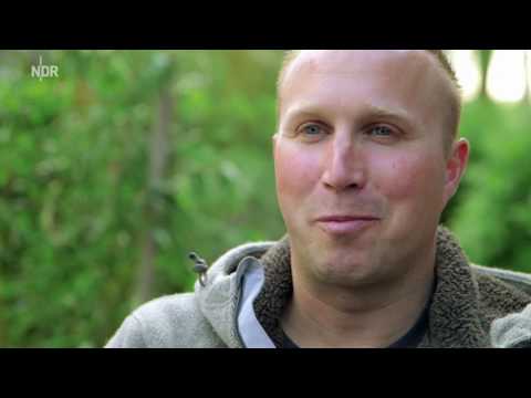 Citovir und Diabetes Hohe Insulinbehandlung