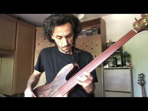 fretless bass brazilian rosewood and pernambuco