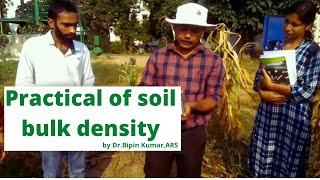 How to do the practical of soil bulk density ?