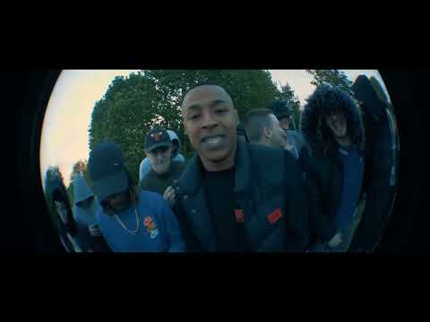 Shadz - Surreal😵‍💫