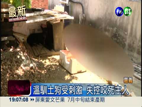 養7年土狗獸性大發 咬死80歲飼主