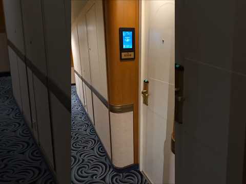 Thumbnail for Obstructed View Cabin for 3 people on Royal Princess #royalprincesscabin   #cabine504