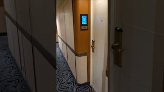 Obstructed View Cabin for 3 people on Royal Princess #royalprincesscabin   #cabine504