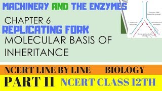 PART-11 REPLICATING FORK||CHAPTER 6 NCERT CLASS 12TH BIOLOGY