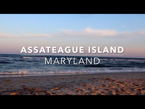 image-How do I contact Assateague Island National Park? 