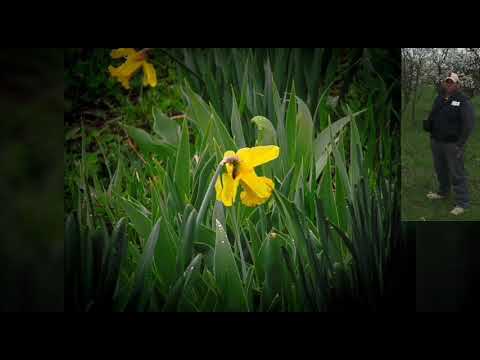 Satul ascuns intre livezi Dumitresti -Fata part 2