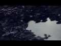 Nebelung Palingenesis Full Album