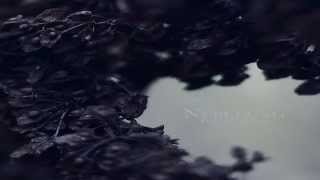 Nebelung - Palingenesis (Full Album)