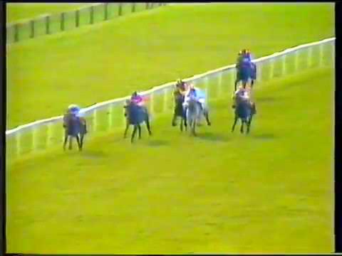 1989   Newmarket   Jockey Club Stakes   Unfuwain