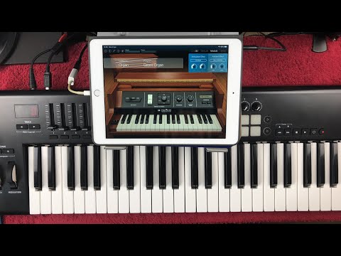 Korg Module & Korg Gadget - All Organ Patches - iPad Demo