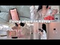 5AM Slow Morning Routine Living Alone In Korea VLOG Korean Skincare Routine Typical Office Day