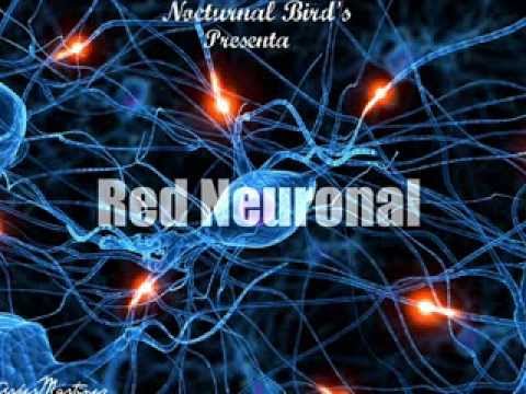 Red Neuronal - Arker Martinez + Bossesound + ArezMc (PROD. MKR)