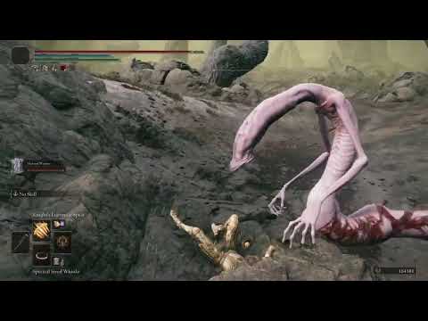 Average Day in the Finger Ruins