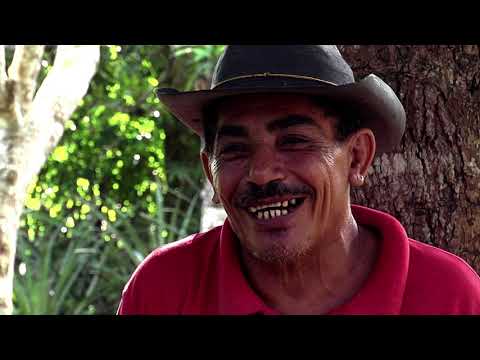 desVelorios en Media Luna