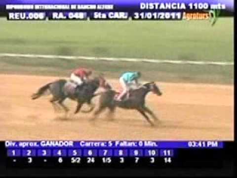 Resumen 31 de Enero de 2011 - Rancho Alegre