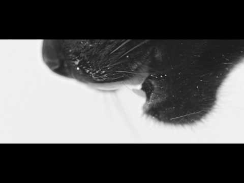 Video thumbnail for Den Göttern egal