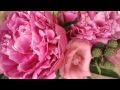 Tchaikovsky: Violin Concerto In D, Op. 35 - 1-1 Allegro Moderato Kyung-Wha Chung;
