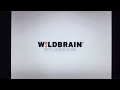 WildBrain Nickelodeon Lightbulb 2009 6