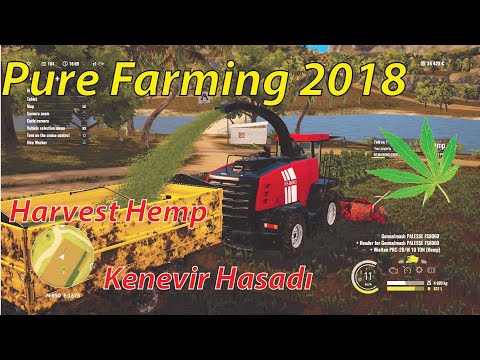 Kenevir Hasadı (Harvest Hemp) | Pure Farming 2018 #3