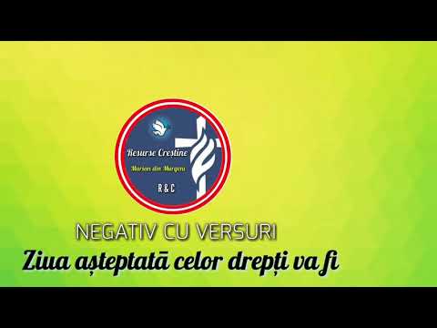 NEGATIV : ZIUA AŞTEPTATĀ CELOR DREPŢI VA FI / 2019 /