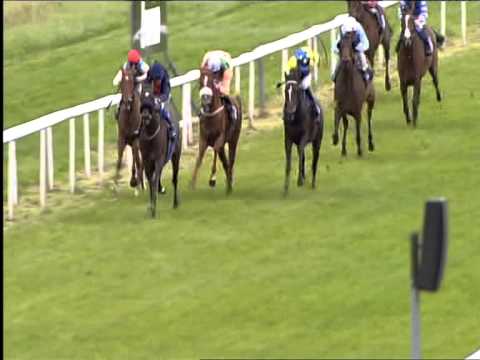 Galopprennbahn Dresden - 06.09.2015 - 4.Rennen