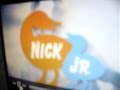 Nick Jr ID Sprinklers 1998