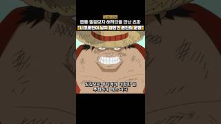 짭퉁 루피와 만나게 된 쵸파의 반응