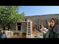 Master Builder And Grandma Chicken House Building Secrets