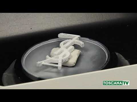 2019-09-13 PRATO - BUZZILAB VERSO LA REVOCA DELLA SOSPENSIONE