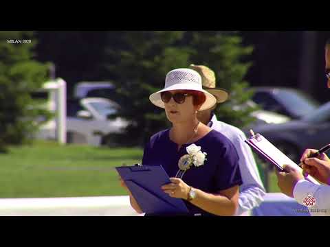 N.53 MYSTICA KAMAL - Milan 2020 Arabian Horse Show - Stallions 4 to 6 Years Old (Class 10)