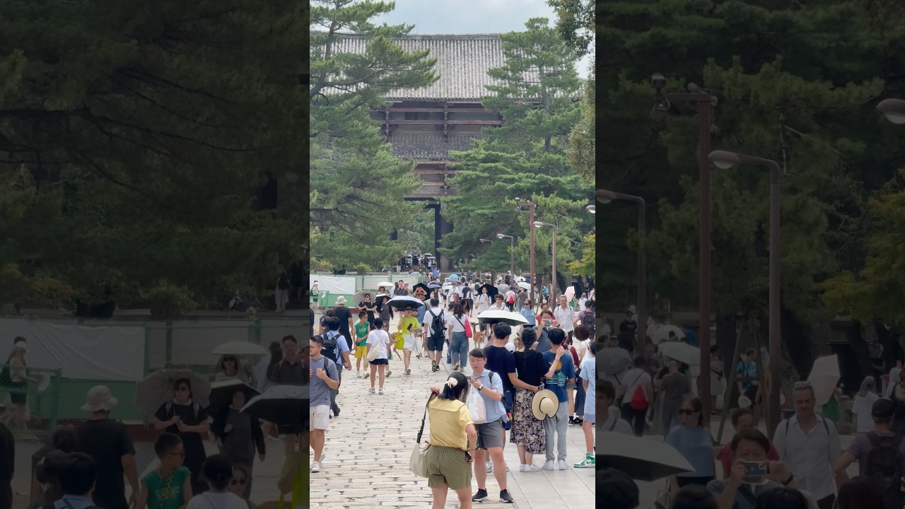 crowded Nara