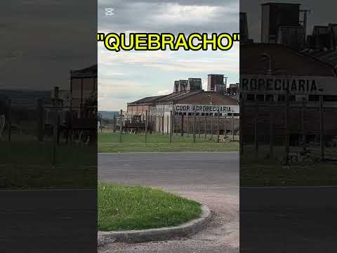 Rumbo a Quebracho con La Oriental 🚐 #quebracho #paysandu #shorts #overland #turismo