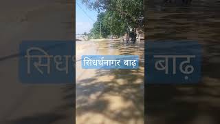 #Siddharth Nagar badh ka seen// सिधर्थनागर  मे बाढ़ क केहर  #bansi बढा
