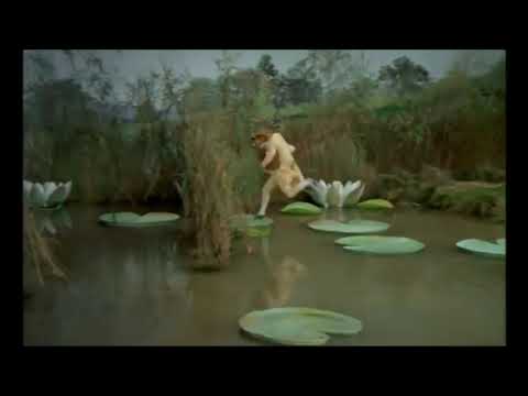 The Tale of Mr Jeremy Fisher (Highest Definition) - The Royal Ballet