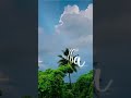 Saradaga Kaasepaina Surya Edits 99