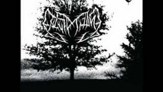 Leviathan - I Miss Watching You Die