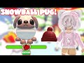 How To Get Snowball Pugs Roblox Adopt Me Christmas 2025 Riivv3r